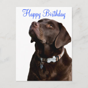 Carte Postale Joyeux anniversaire Labrador Retriever Dog Post Ca