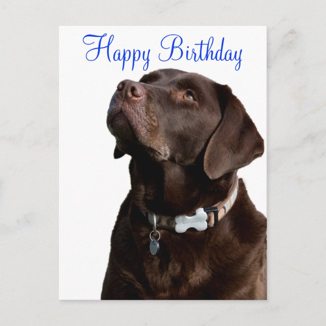 Carte Postale Joyeux anniversaire Labrador Retriever Dog Post Ca (Devant)