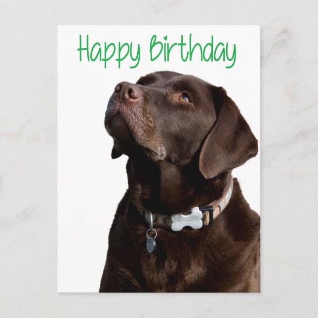 Carte Postale Joyeux anniversaire Labrador Retriever Dog Post Ca (Devant)