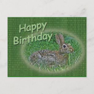 Carte Postale Joyeux Anniversaire Lapin Lapin Articles de coordi