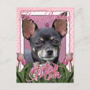Carte Postale Joyeux anniversaire maman - Chihuahua - Isabella