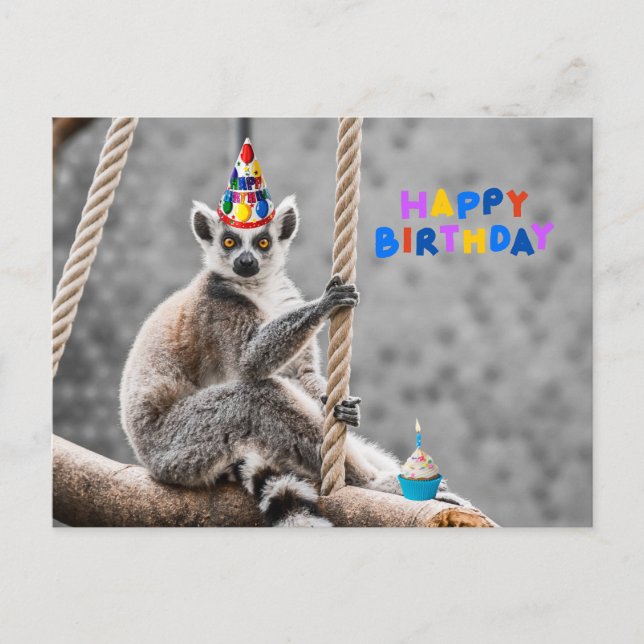 Carte Postale Joyeux Anniversaire Mignon Drôle Lémurien sur une  (Devant)