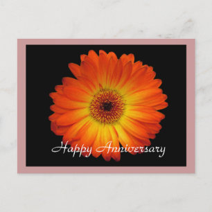 Carte Postale Joyeux anniversaire orange gerbera marguerite