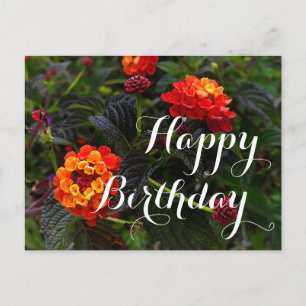 Carte Postale Joyeux anniversaire Orange Red Trailing Lantana #1