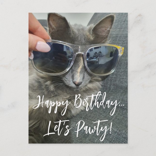 Carte Postale "joyeux anniversaire pawty" drôle photo de chaton (Devant)
