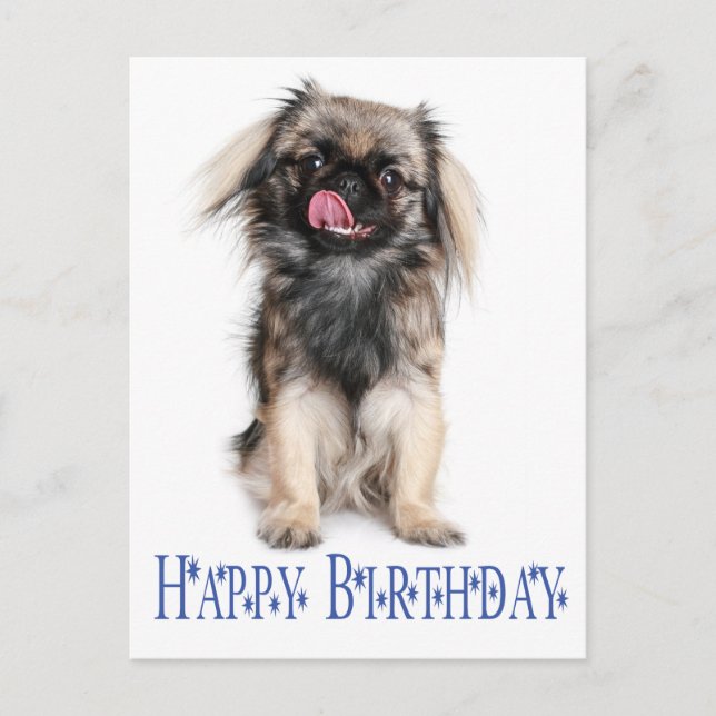 Carte Postale Joyeux anniversaire Pekingese Chien Chien Chien Ch (Devant)