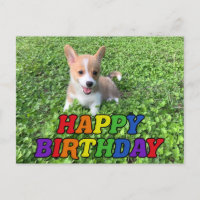 Joyeux Anniversaire Photo de chiot Corgi mignon
