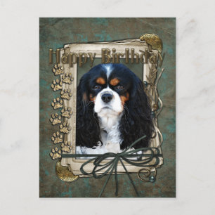 Carte Postale Joyeux Anniversaire - Pierres - Cavalier
