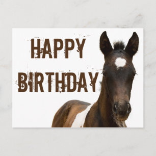 Carte Postale Joyeux Anniversaire Poulain