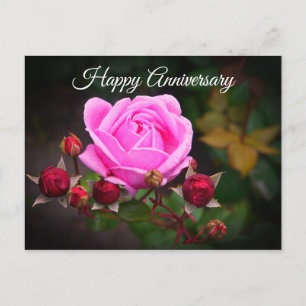 Carte Postale Joyeux anniversaire Rose du château évêque #1 Cart