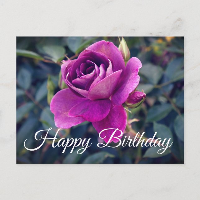 Carte postale Joyeux Anniversaire Rose Glacée Bour (Devant)