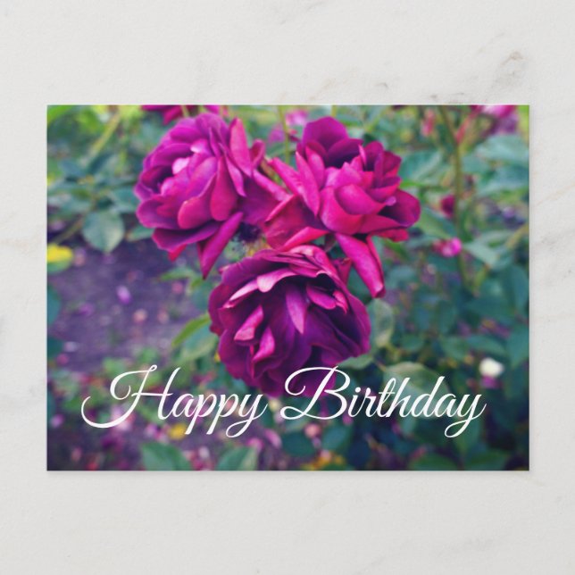 Carte Postale Joyeux Anniversaire Rose Glacée Bourgogne #3-2 Car (Devant)