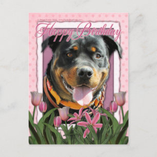 Carte Postale Joyeux anniversaire - Rottweiler - SambaParTi