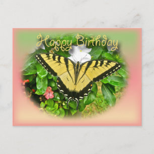 Carte Postale Joyeux anniversaire Salutation Tiger Swallowtail B