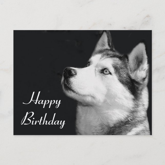 Carte Postale Joyeux Anniversaire Sibérie Husky Chien Chien Pot  (Devant)