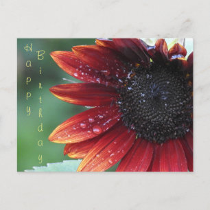 Carte Postale Joyeux Anniversaire Tournesol Rouge