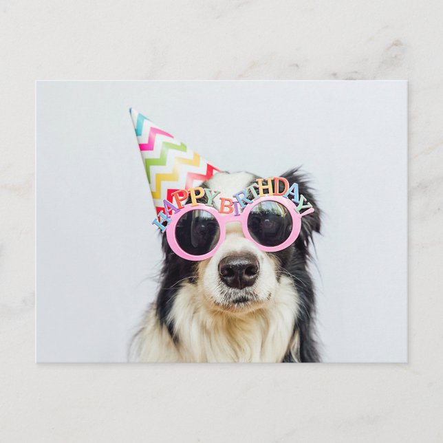 Carte Postale Joyeux Anniversaire Vous Animal de Fête (Devant)