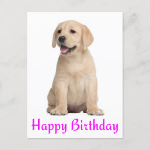 Carte Postale Joyeux anniversaire Yellow Labrador Retriever Cart