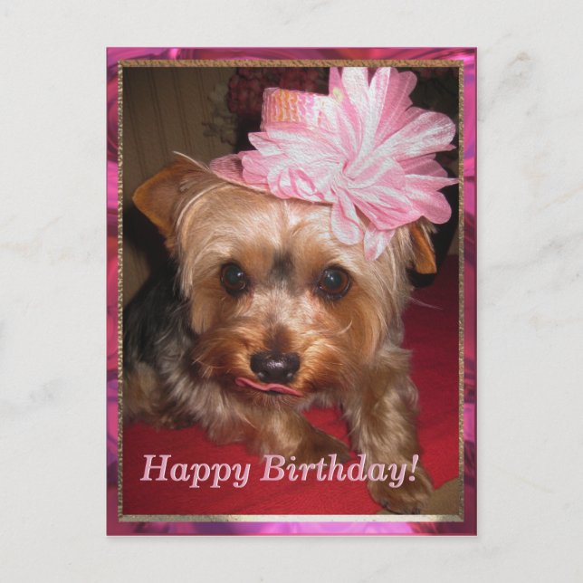 Carte Postale Joyeux anniversaire Yorkie (Devant)