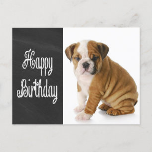 Carte postale Joyeux Birthday Bulldog Puppy Chalkb