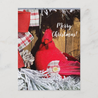 Carte Postale Joyeux Cardinal de Noël