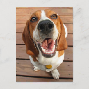 Carte Postale Joyeux chien