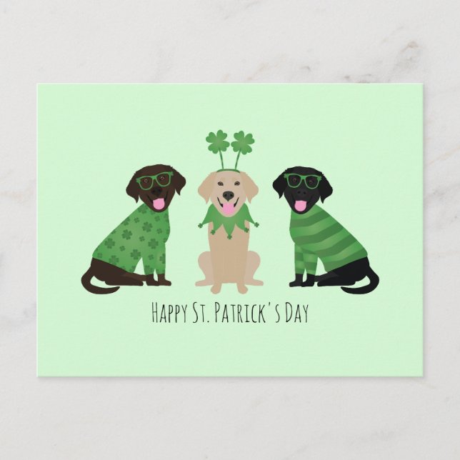 Carte Postale Joyeux Chiens du Labrador Jour de la Saint Patrick (Devant)