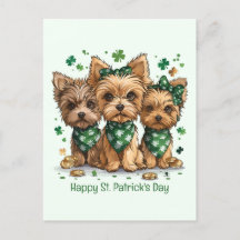 Joyeux Chiens du Yorkshire Terrier de St. Patrick'