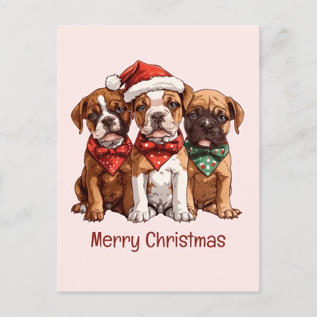 Carte Postale Joyeux Chiens en boîte de Noël (Devant)