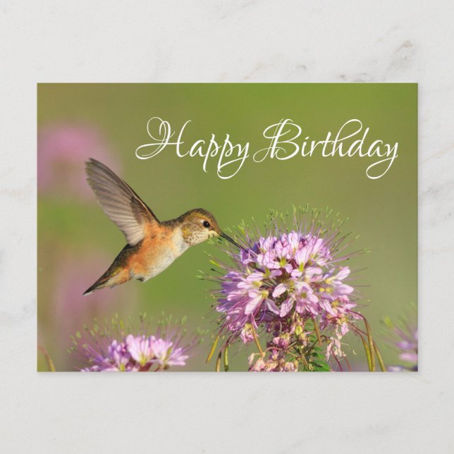 Carte Postale Joyeux colibri d'anniversaire (Devant)