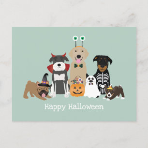 Carte Postale Joyeux Costumes Éffrayants pour animaux de compagn