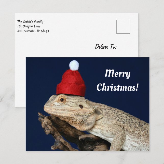 Carte Postale Joyeux dragon à dos de Noël dans un chapeau de Pèr (Devant / Derrière)