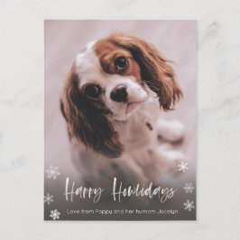 Carte Postale Joyeux Howlidays Chig Walker Noël