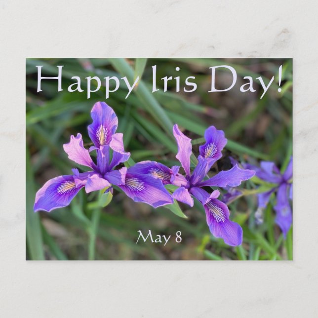 Carte Postale Joyeux Iris Day ! (Devant)