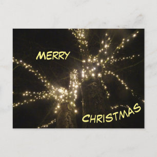 Carte postale Joyeux Noël Arbre extérieur