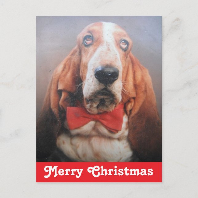Carte postale Joyeux Noël Basset Hound (Devant)