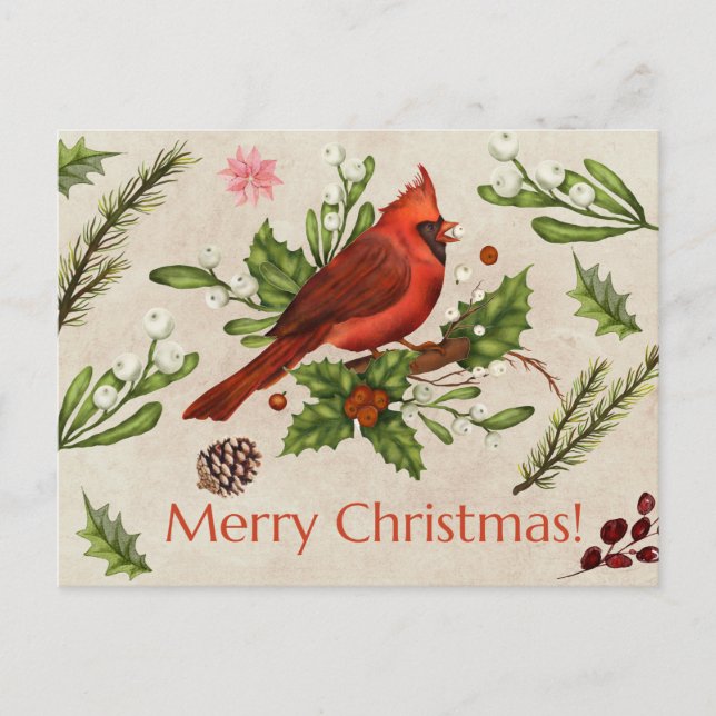 Carte Postale Joyeux Noël Cardinal Rouge (Devant)