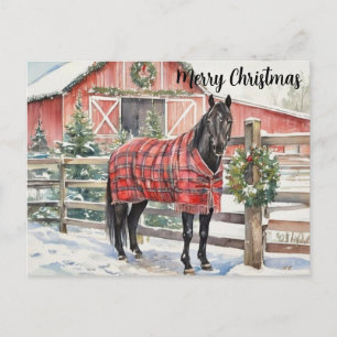 Carte Postale Joyeux Noël Cheval Noir