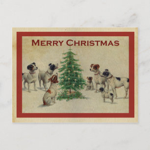Carte Postale Joyeux Noël chiens