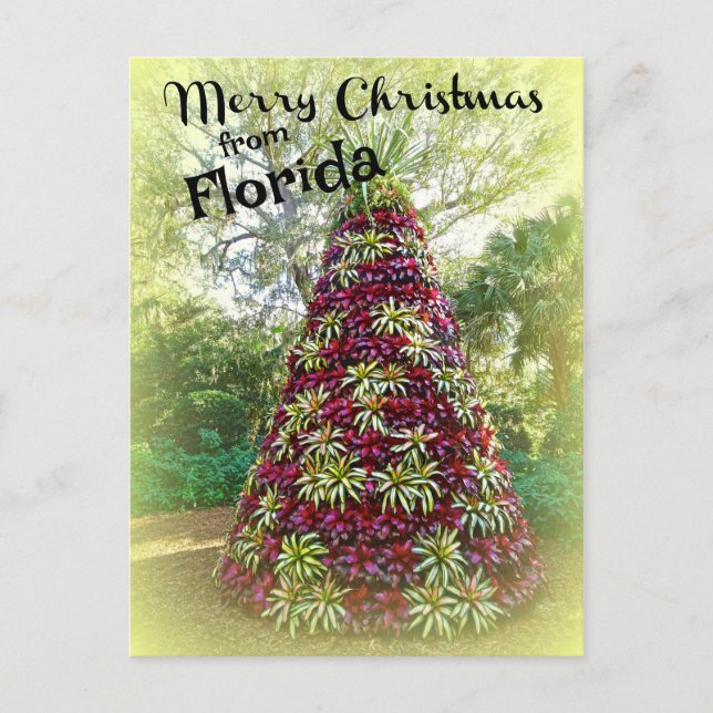 Carte Postale Joyeux Noël de Floride Bromeliad Tree (Devant)