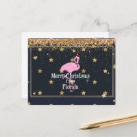 Joyeux Noël de Floride, Père Noël Flamant rose