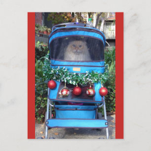 Carte Postale Joyeux Noël et Bonne Année