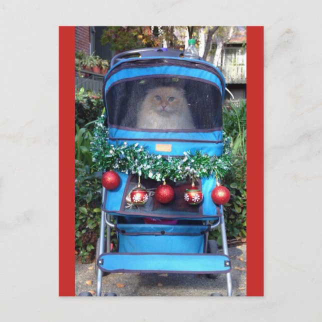 Carte Postale Joyeux Noël et Bonne Année (Devant)