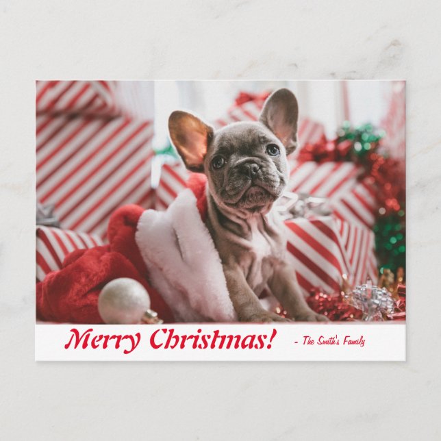 Carte Postale Joyeux Noël Français Chien de taule (Devant)