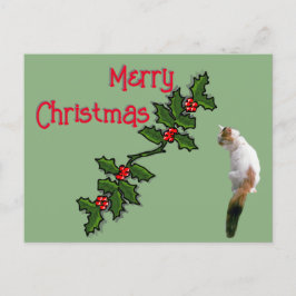 Carte postale - Joyeux Noël Holly et Calico Cat