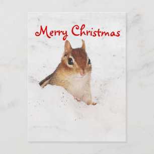 Carte postale Joyeux Noël Little Snowy Chipmunk