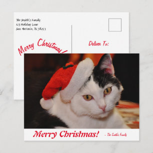 Carte Postale Joyeux Noël personnalisé Chat noir et blanc