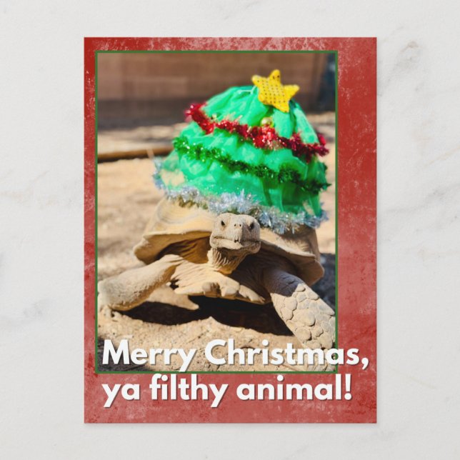 Carte Postale Joyeux Noël, sale bête Tortue sarcastique (Devant)
