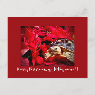 Carte Postale Joyeux Noël ya sale animal bébé tortue Noël