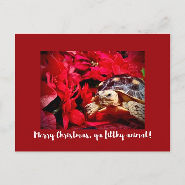 Carte Postale Joyeux Noël ya sale animal bébé tortue Noël (Devant)
